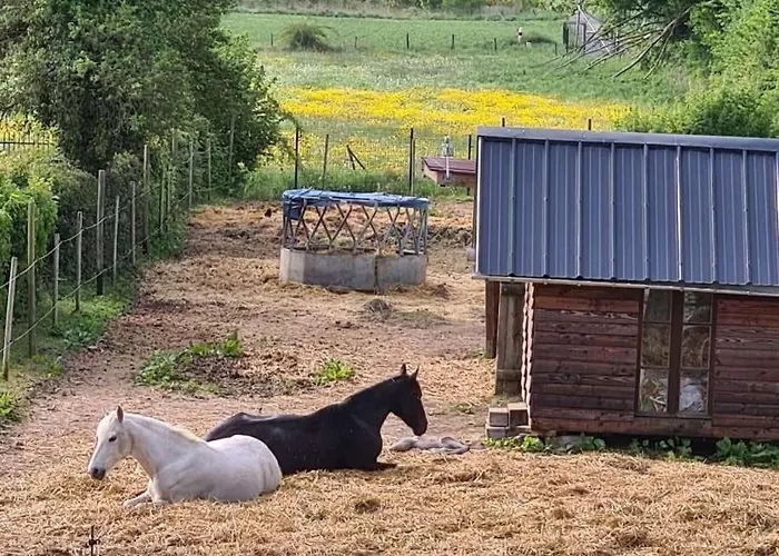 Les Marettes Beaudeduit